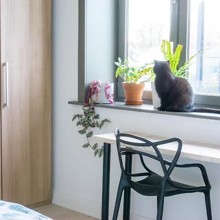Biggenkruid - Sustainable Bed And Breakfast-2