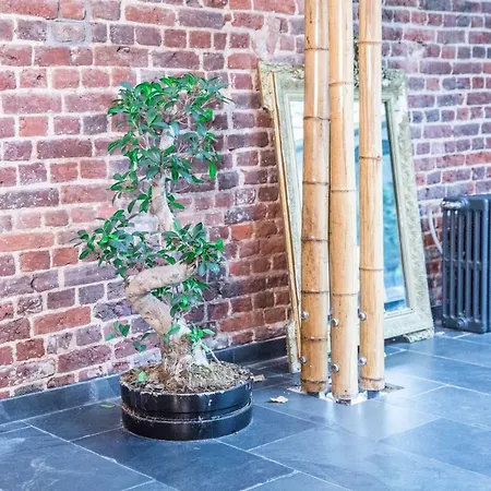 Bnb Nest-3